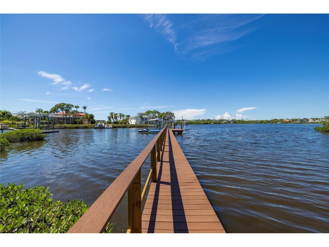 763 Jacqueline Lane Palm Harbor FL 34683 - SUTHERLAND BAYOU TB8429416 image79