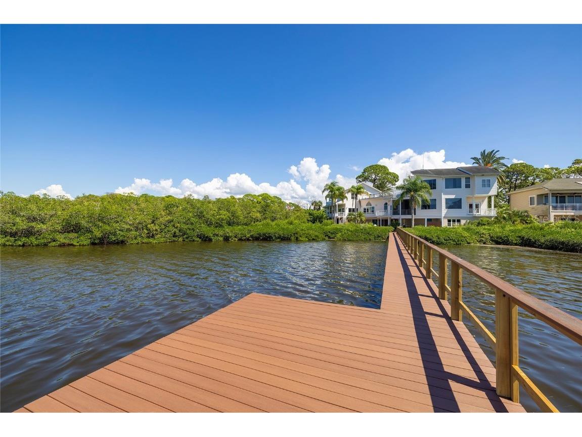 763 Jacqueline Lane Palm Harbor FL 34683 - SUTHERLAND BAYOU TB8429416 image84