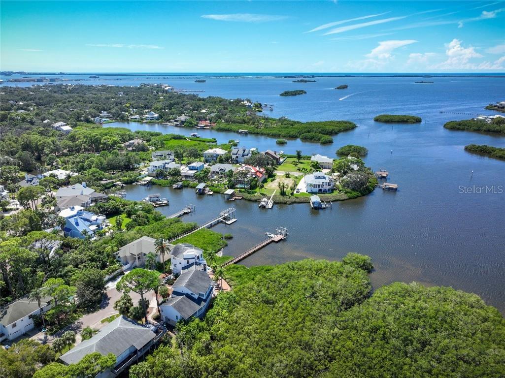 763 Jacqueline Lane Palm Harbor FL 34683 - SUTHERLAND BAYOU TB8429416 image97
