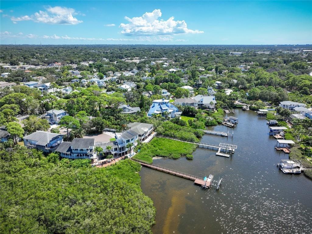 763 Jacqueline Lane Palm Harbor FL 34683 - SUTHERLAND BAYOU TB8429416 image98