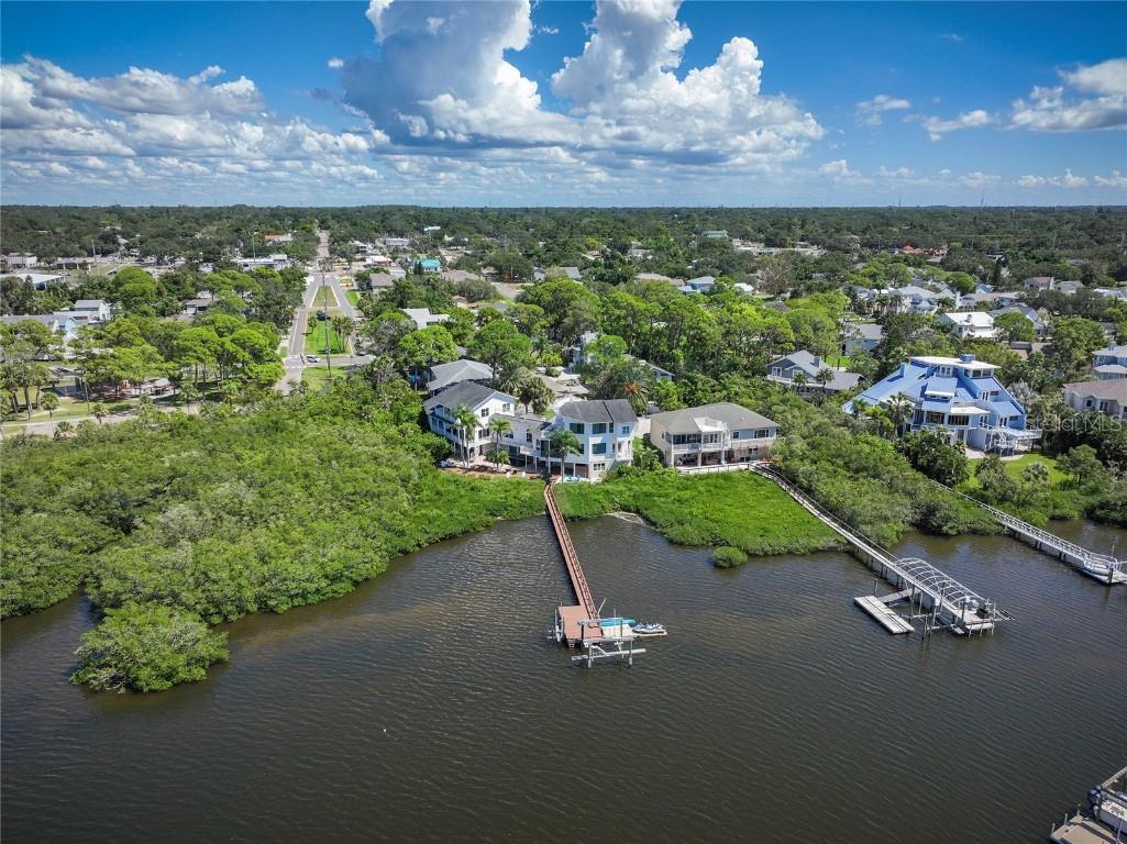 763 Jacqueline Lane Palm Harbor FL 34683 - SUTHERLAND BAYOU TB8429416 image99