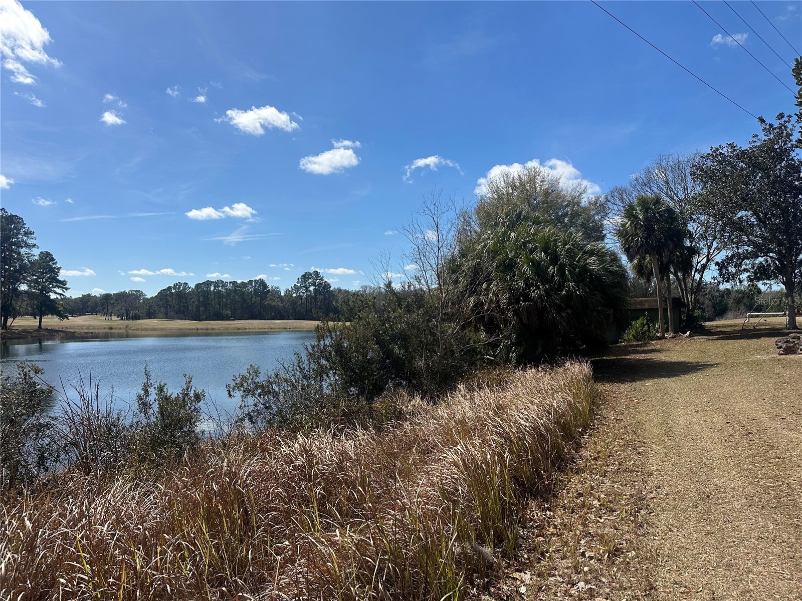 763 Midway Drive #B Ocala FL 34472 OM719311 image5