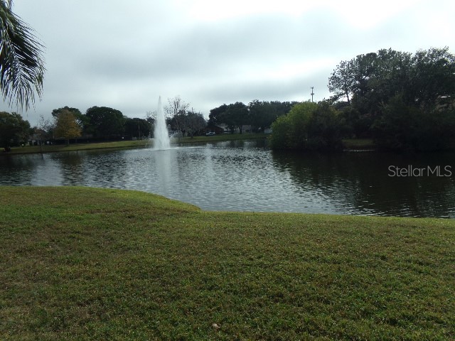 7630 Balharbour Drive New Port Richey FL 34653 TB8460907 image17
