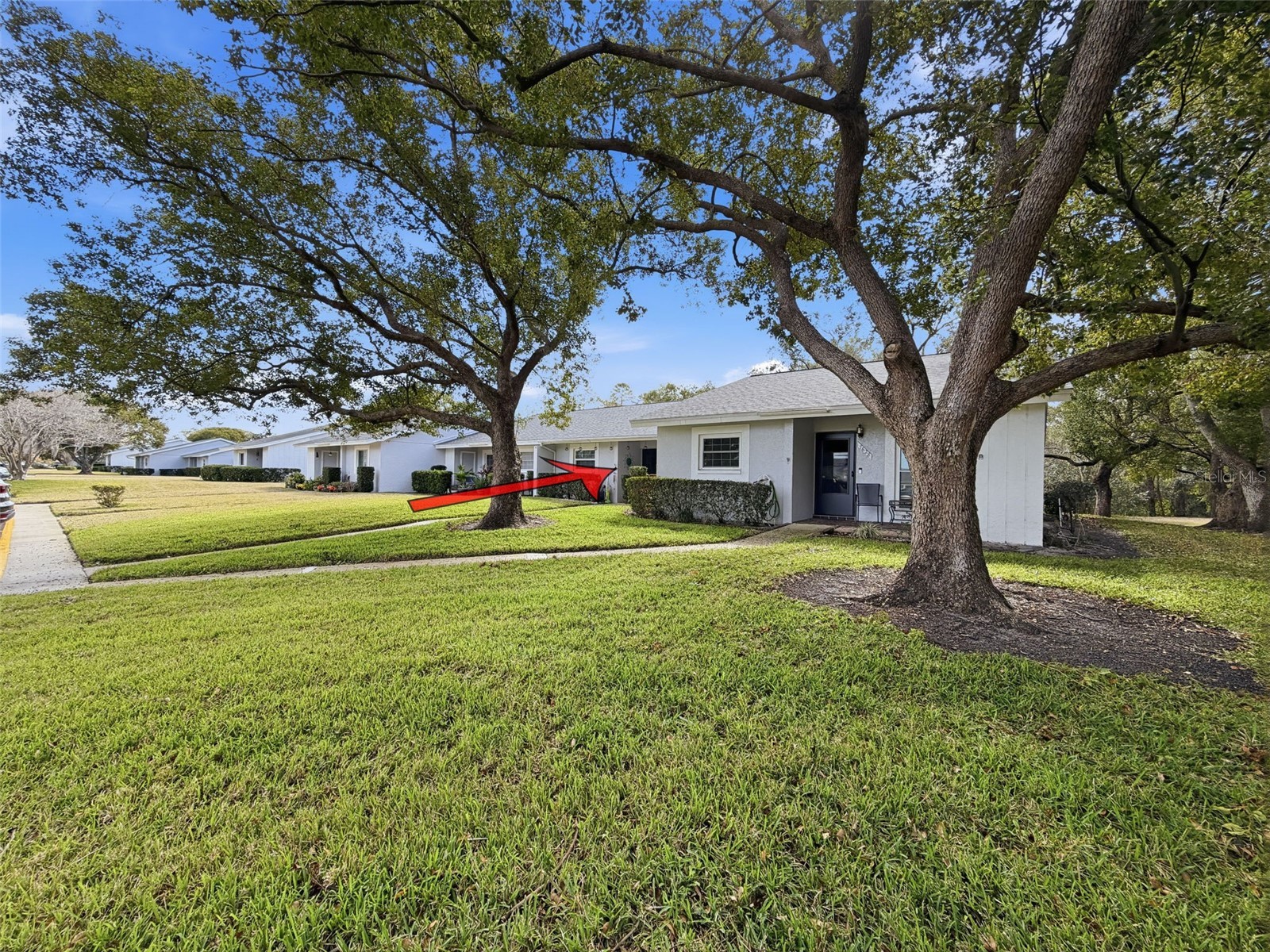 7630 Danube Drive Hudson FL 34667 W7883086 image3