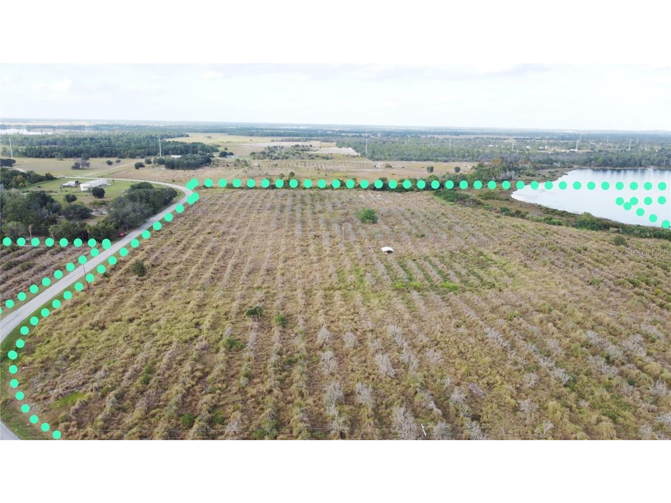 7630 Lake Buffum Road N Fort Meade FL 33841 TB8442201 image2