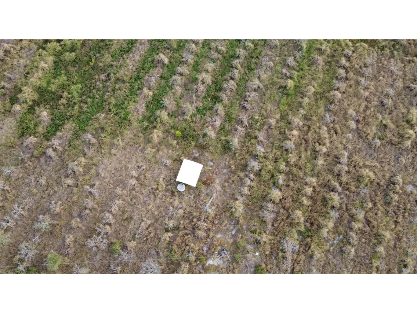 7630 Lake Buffum Road N Fort Meade FL 33841 TB8442201 image6