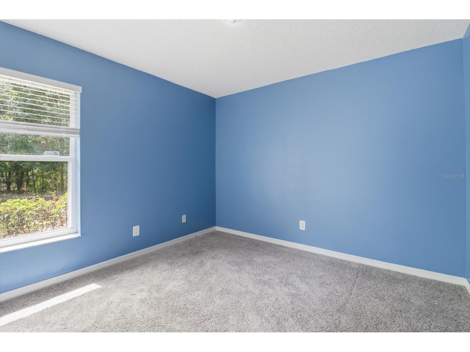 7630 N Galt Point Citrus Springs FL 34434 OM724743 image23