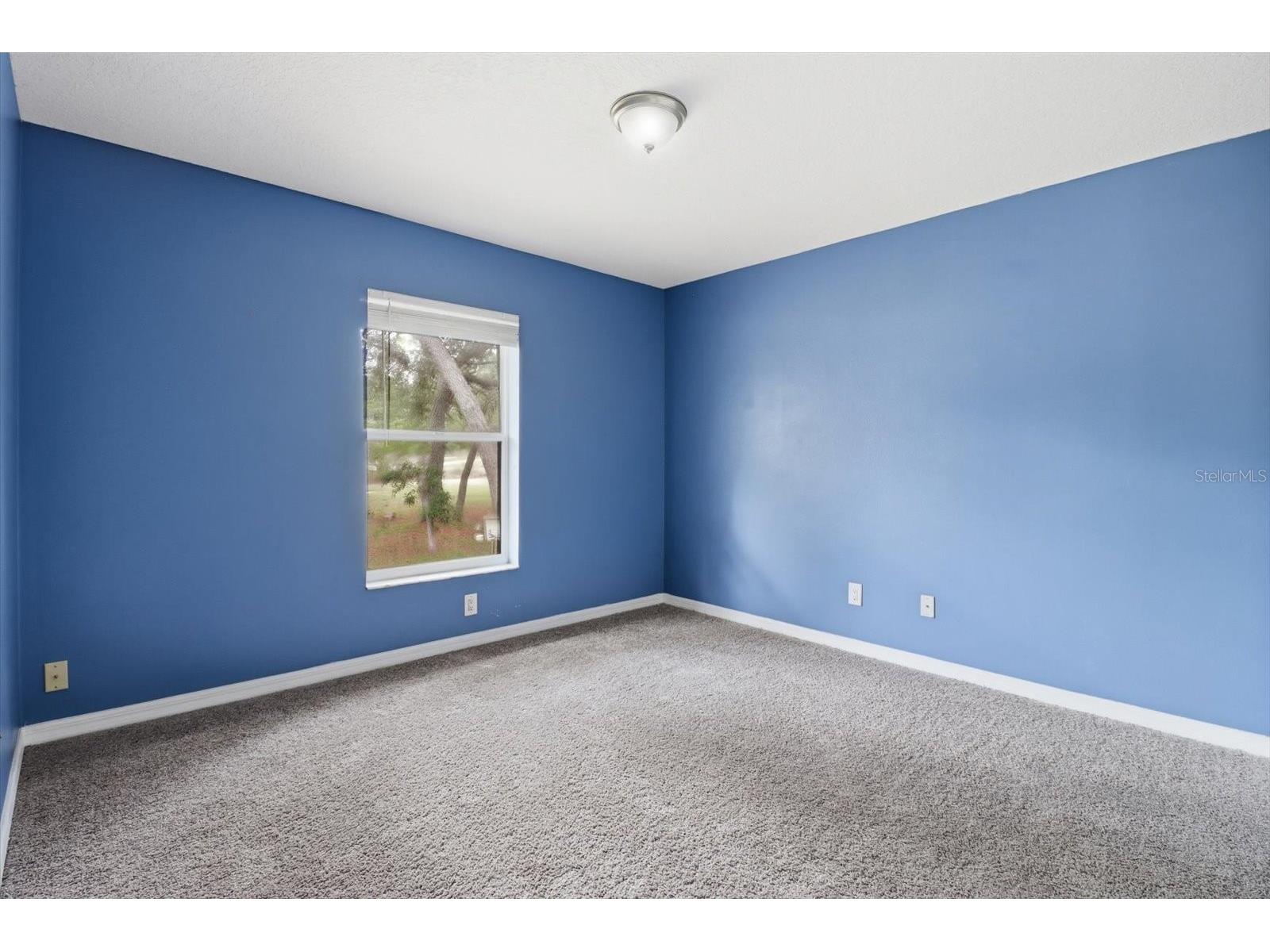 7630 N Galt Point Citrus Springs FL 34434 OM724743 image26