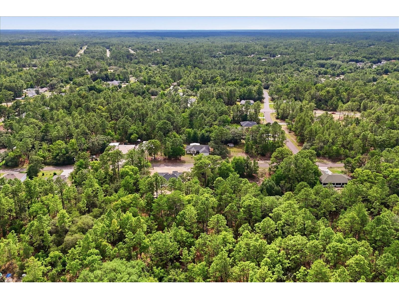 7630 N Galt Point Citrus Springs FL 34434 OM724743 image46