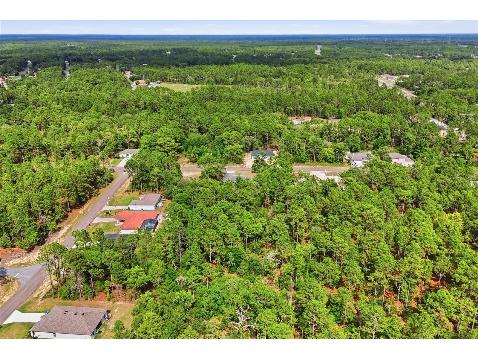 7630 N Galt Point Citrus Springs FL 34434 OM724743 image47