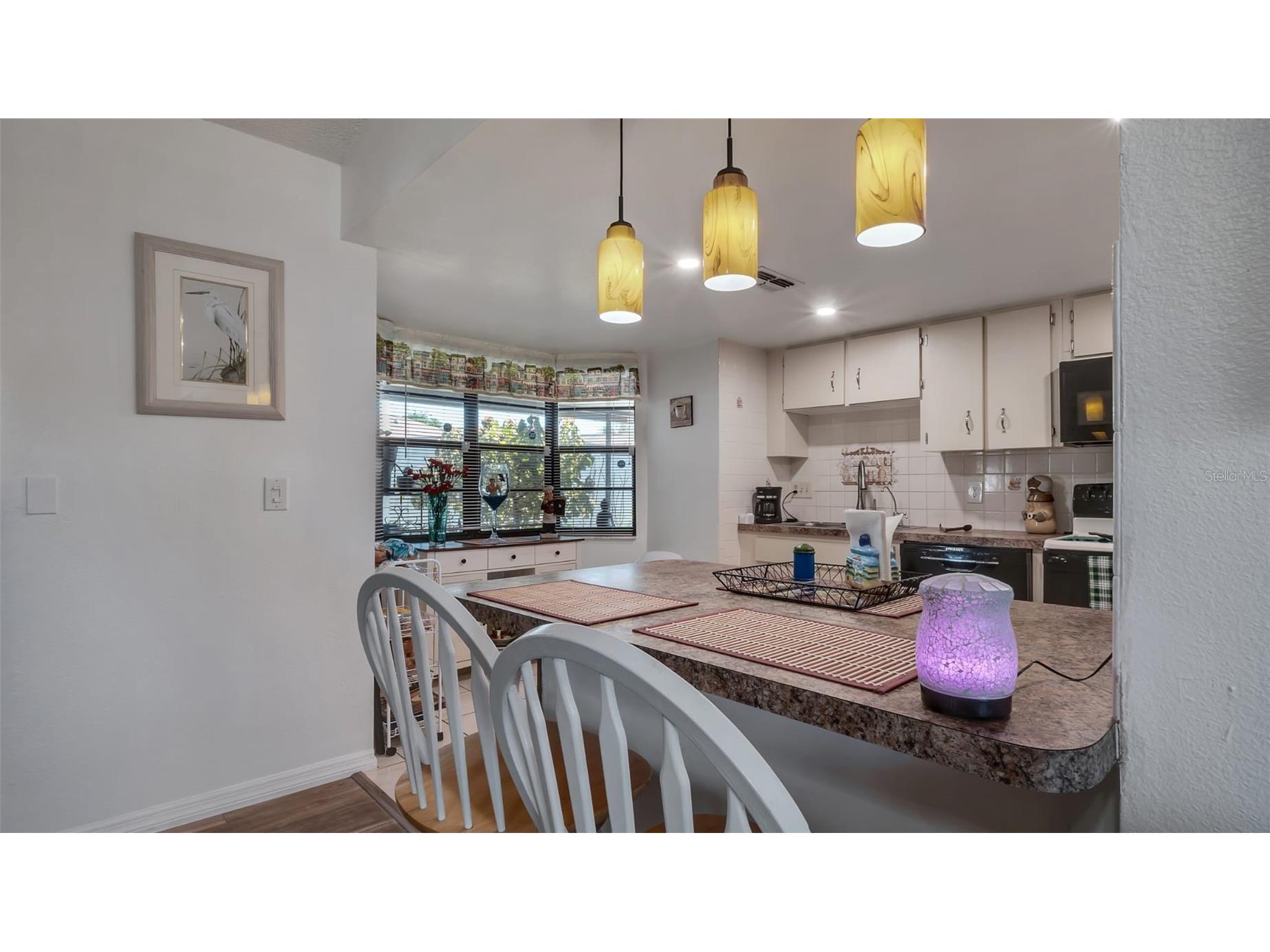 7630 Vienna Lane Port Richey FL 34668 TB8478959 image20