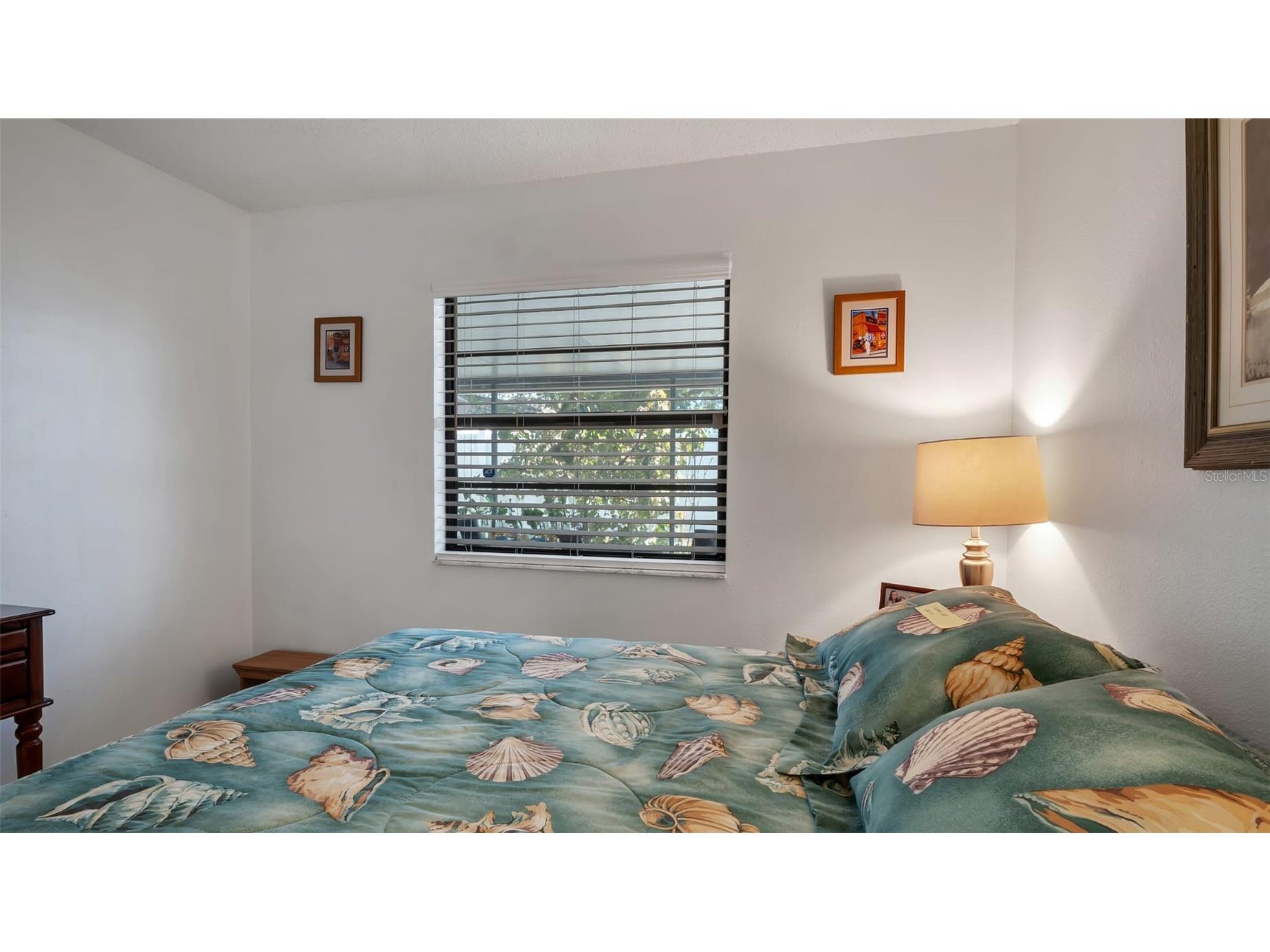 7630 Vienna Lane Port Richey FL 34668 TB8478959 image39