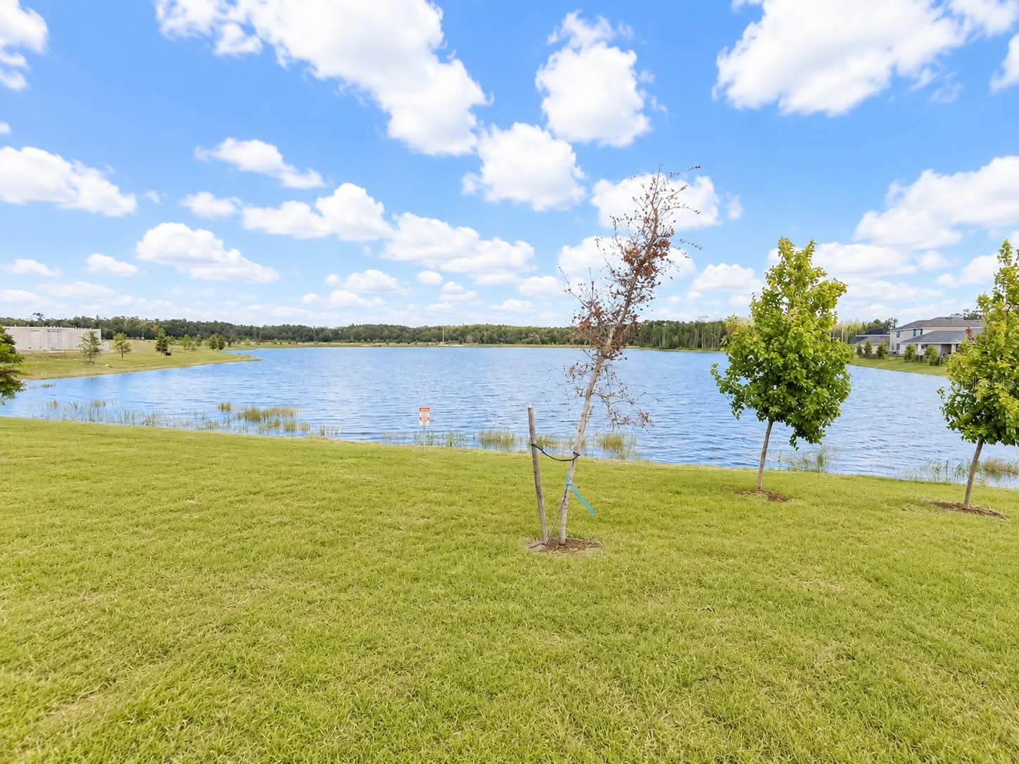 7631 Bent Tree Loop Saint Cloud FL 34773 O6389991 image11
