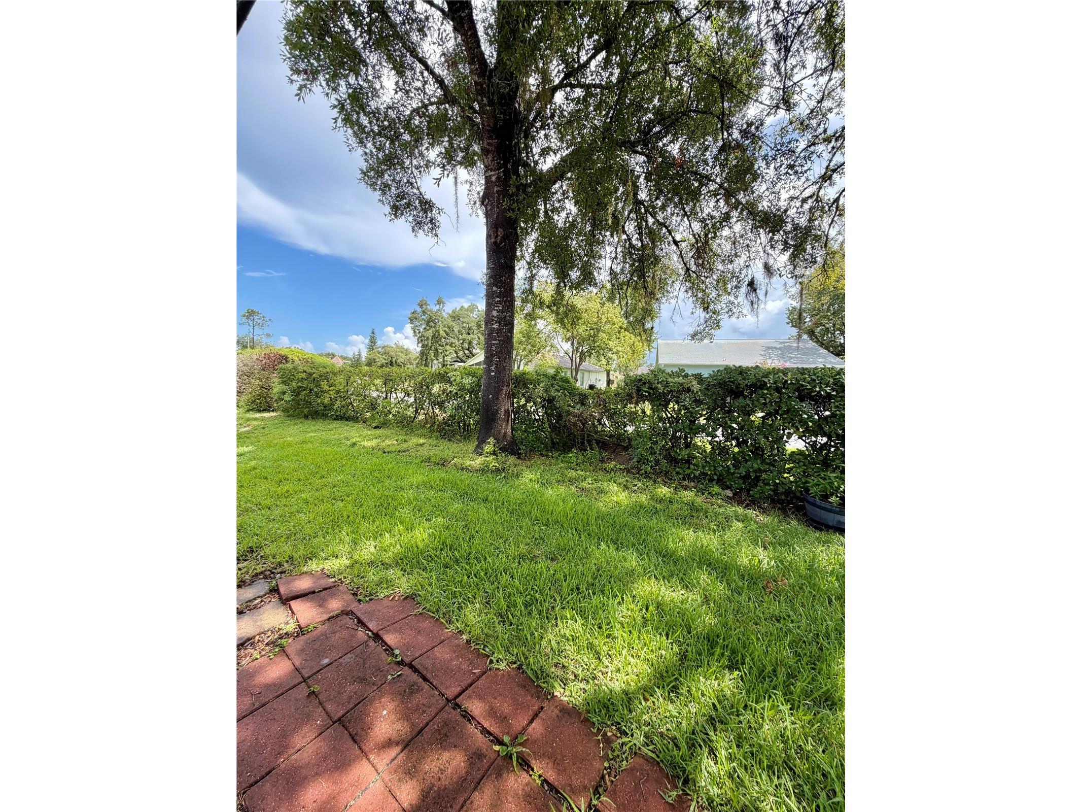 7632 Bayhill Court New Port Richey FL 34654 W7887400 image23