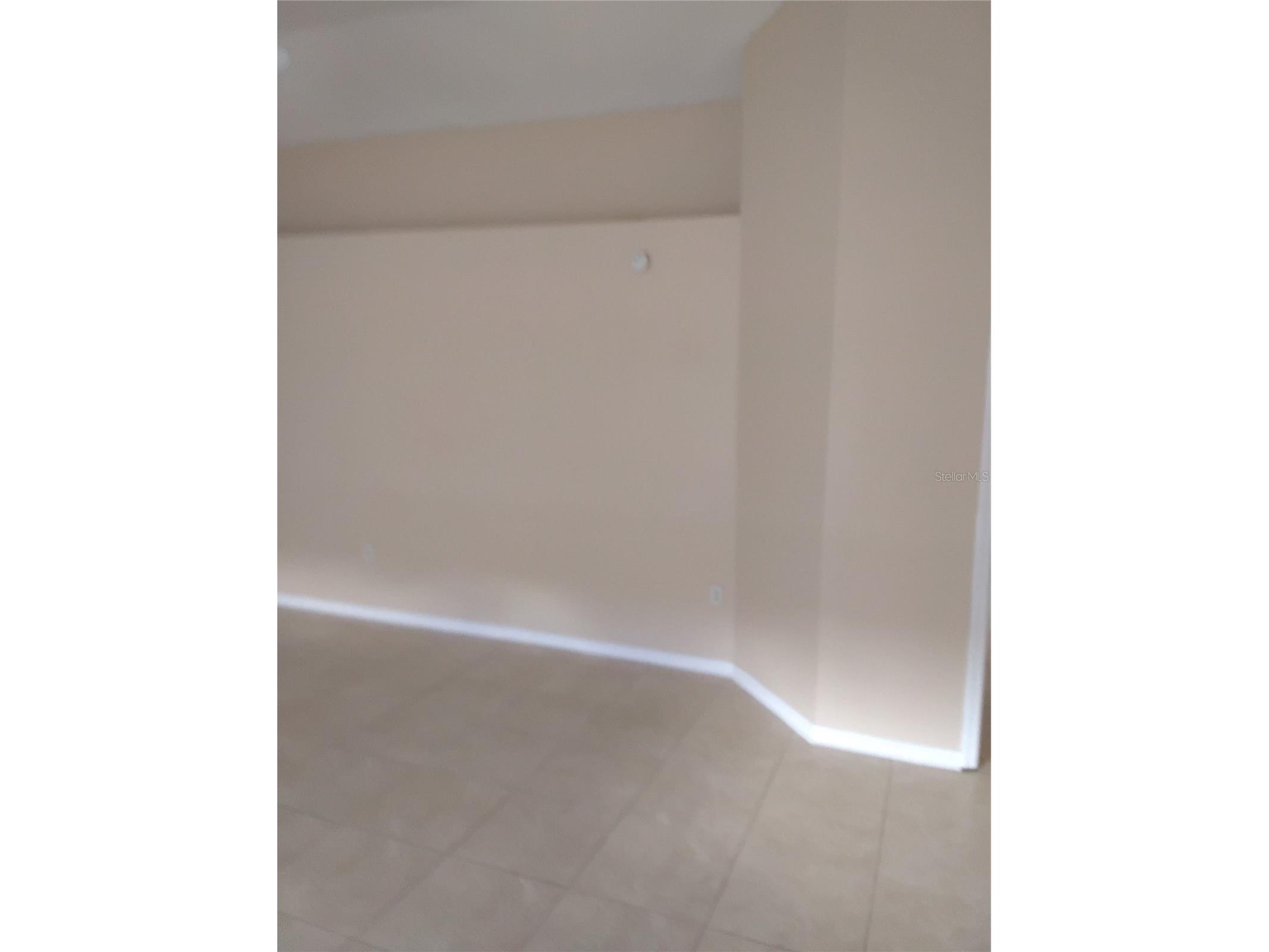 7632 Harbor Lake Drive Orlando FL 32822 O6414958 image3