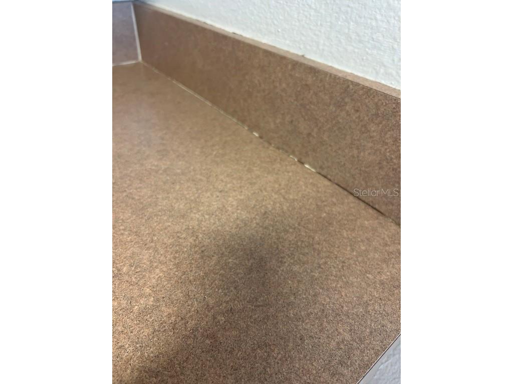 7632 Merchantville Circle Zephyrhills FL 33540 TB8442118 image30