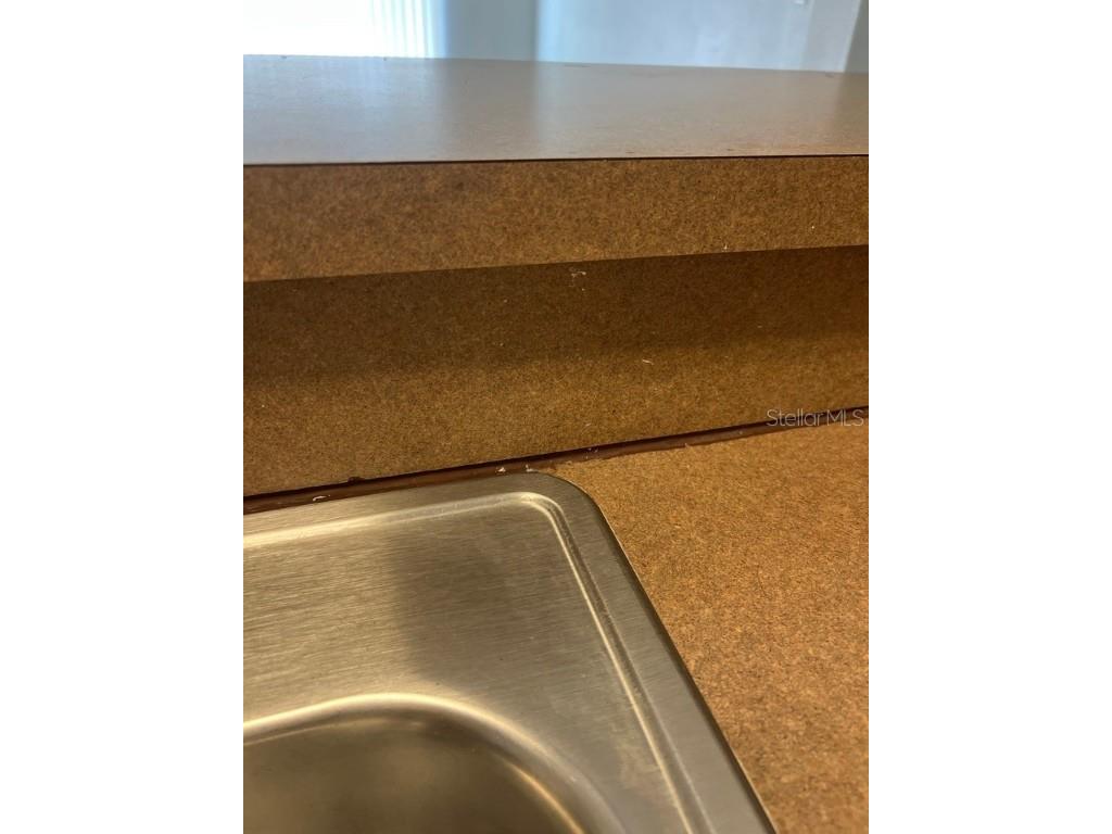 7632 Merchantville Circle Zephyrhills FL 33540 TB8442118 image33