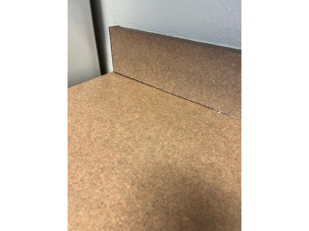 7632 Merchantville Circle Zephyrhills FL 33540 TB8442118 image35