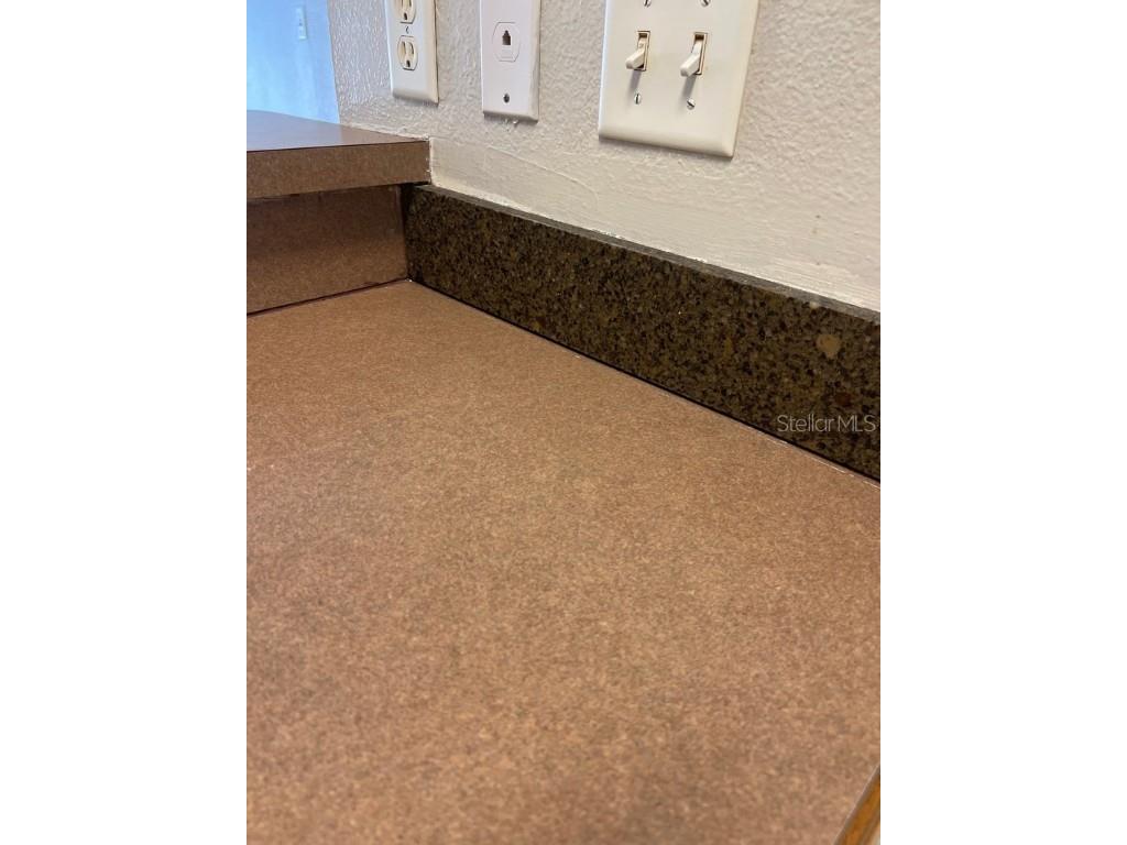 7632 Merchantville Circle Zephyrhills FL 33540 TB8442118 image38