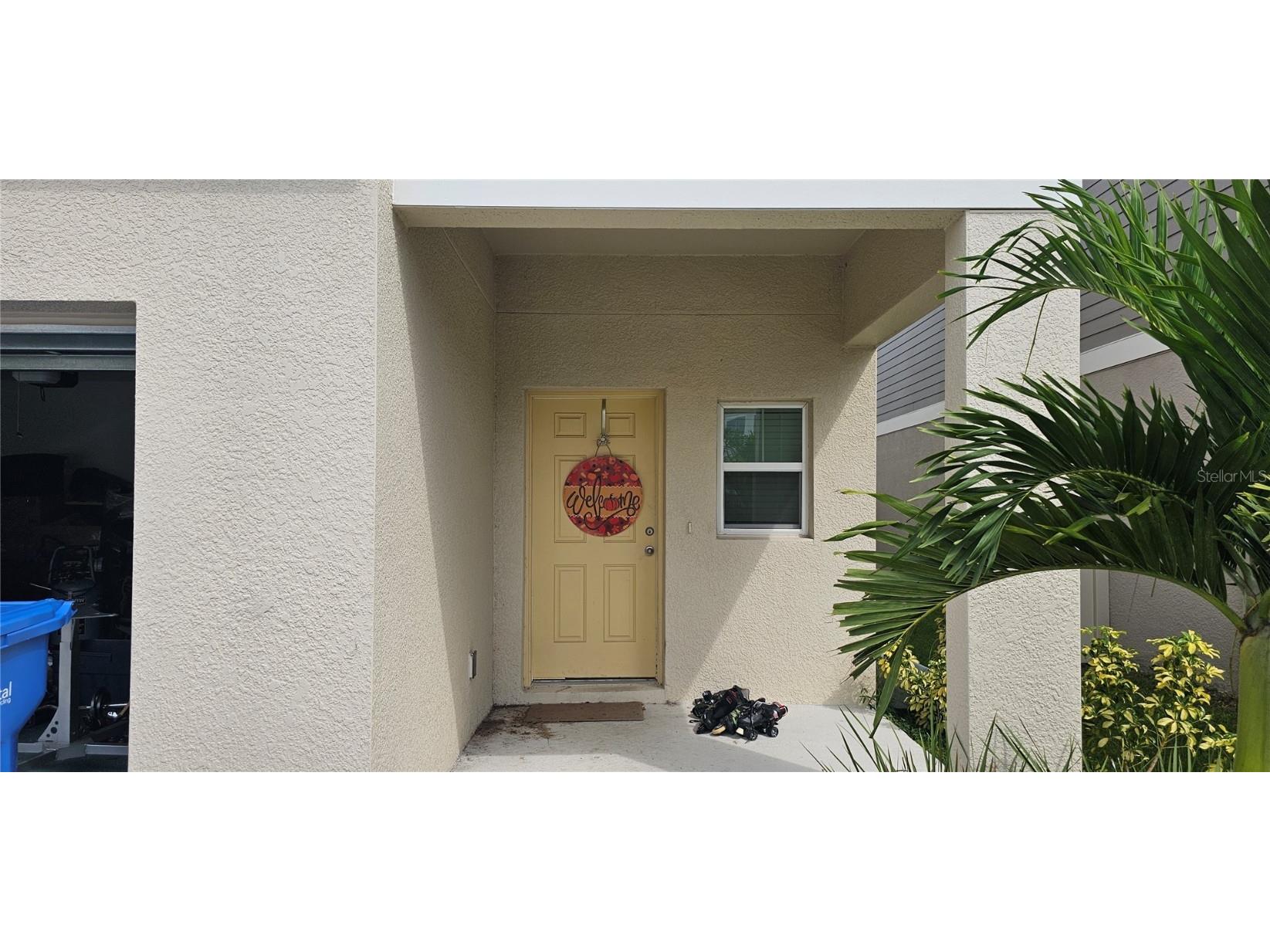 7632 Starflower Way Wesley Chapel FL 33545 TB8434097 image2