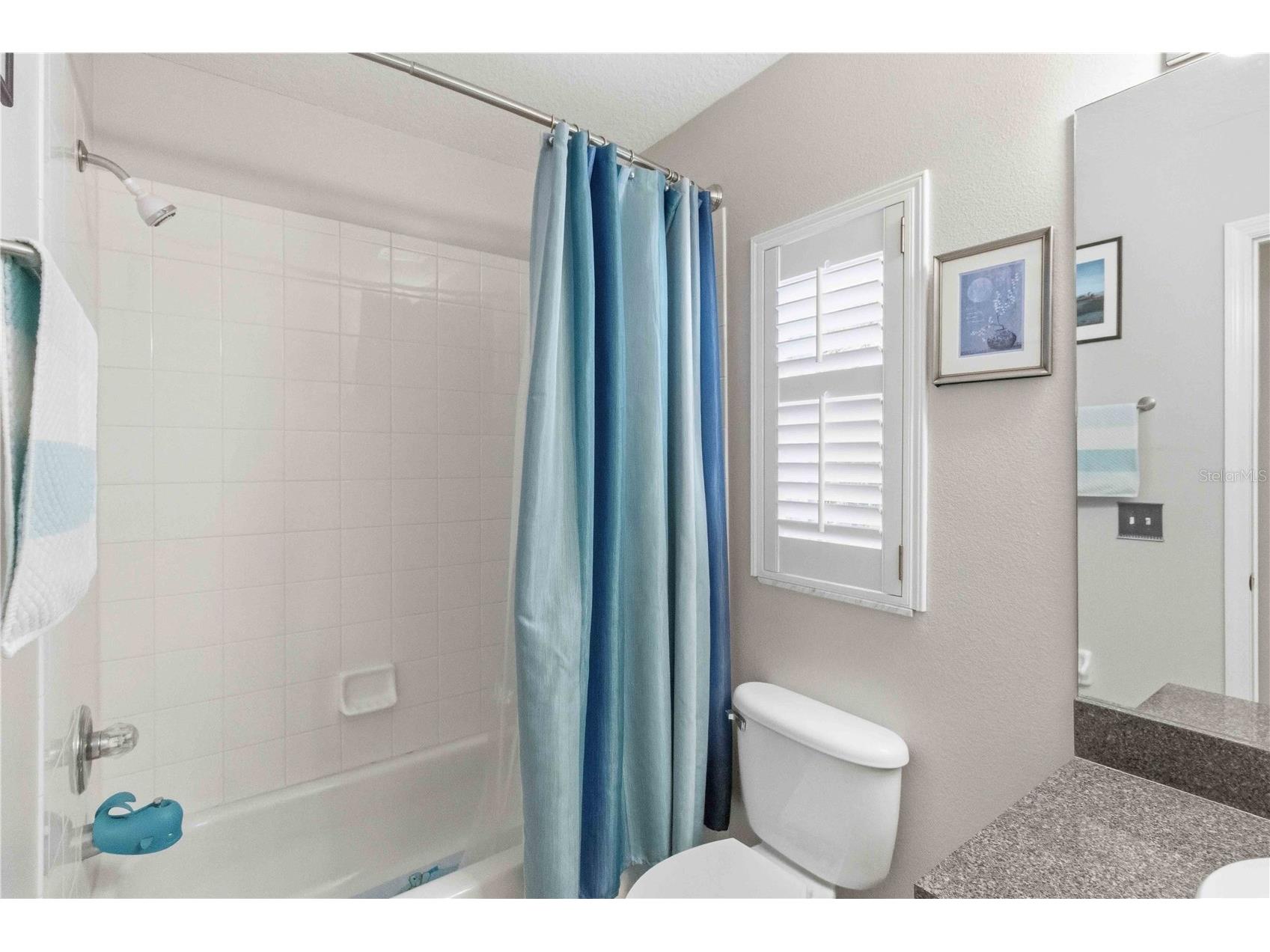 7633 Clovelly Park Place Apollo Beach FL 33572 TB8494803 image20