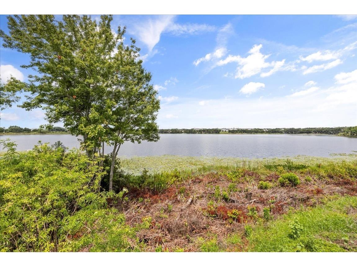 7633 Toscana Boulevard Orlando FL 32819 - Spring Lake O6325504 image59