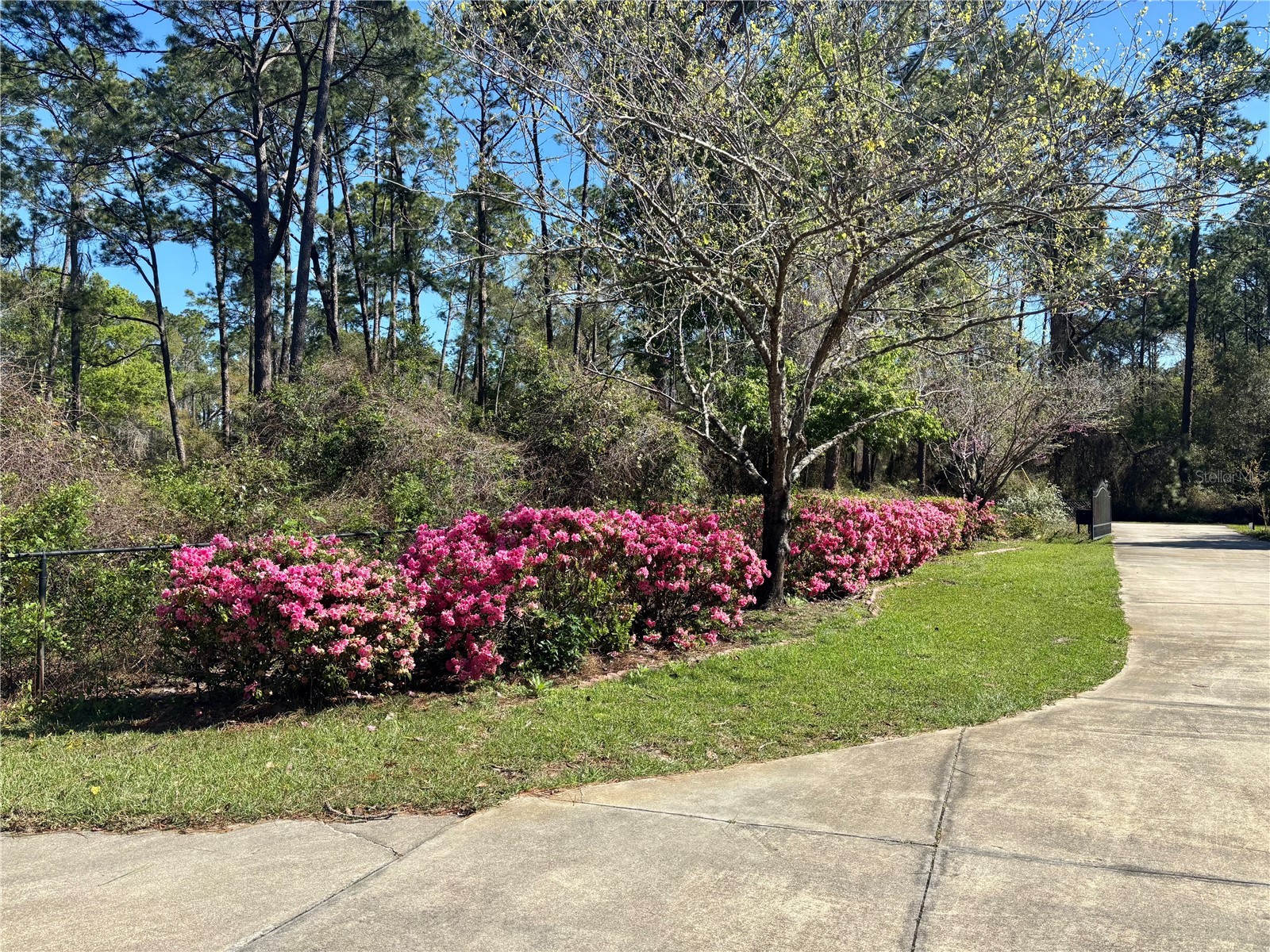 7634 Aztec Court Keystone Heights FL 32656 - LAKE WASHINGTON GC533184 image4