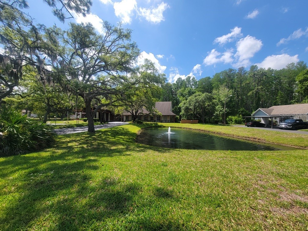 7635 Buita Des Morts New Port Richey FL 34654 W7885981 image19