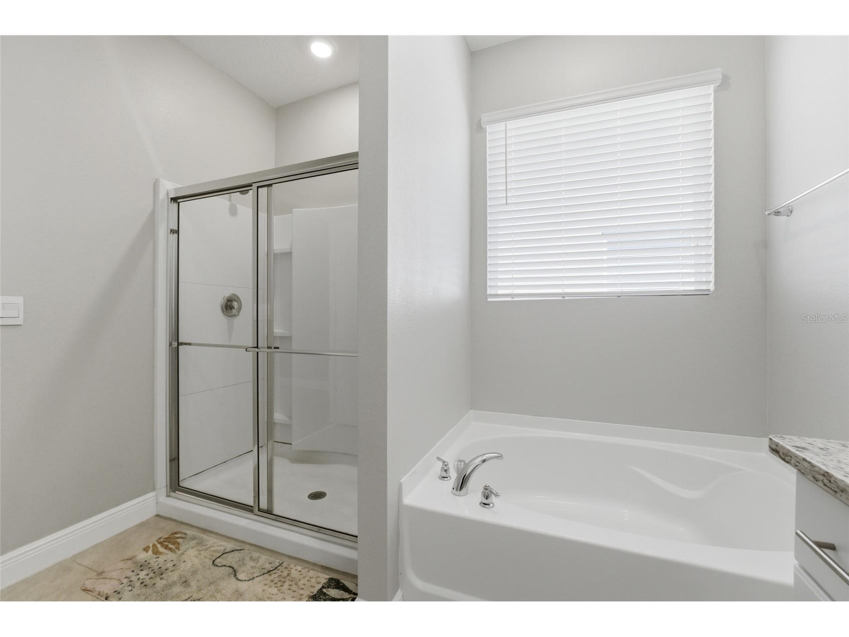 7635 Oakmoss Loop Davenport FL 33837 O6401854 image49