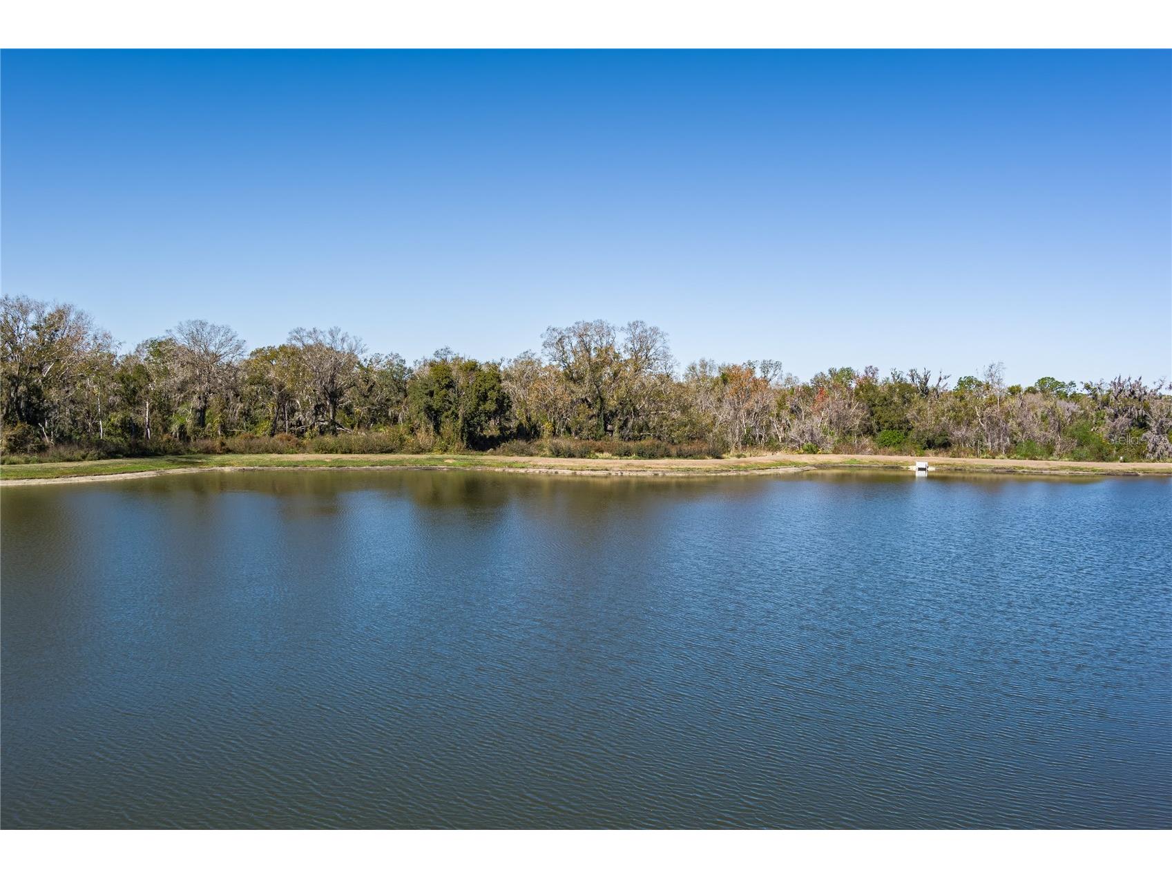 7635 Twin Leaf Terrace Parrish FL 34219 A4680082 image33