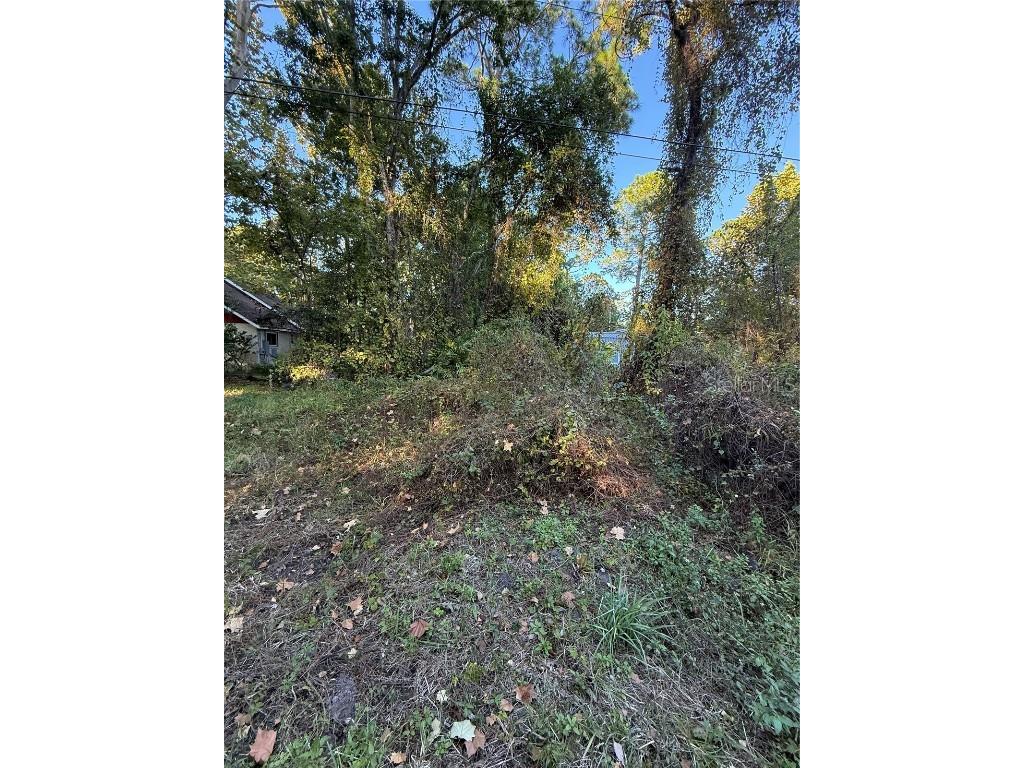 7635 W Mckinley Street Homosassa FL 34448 O6360653 image2