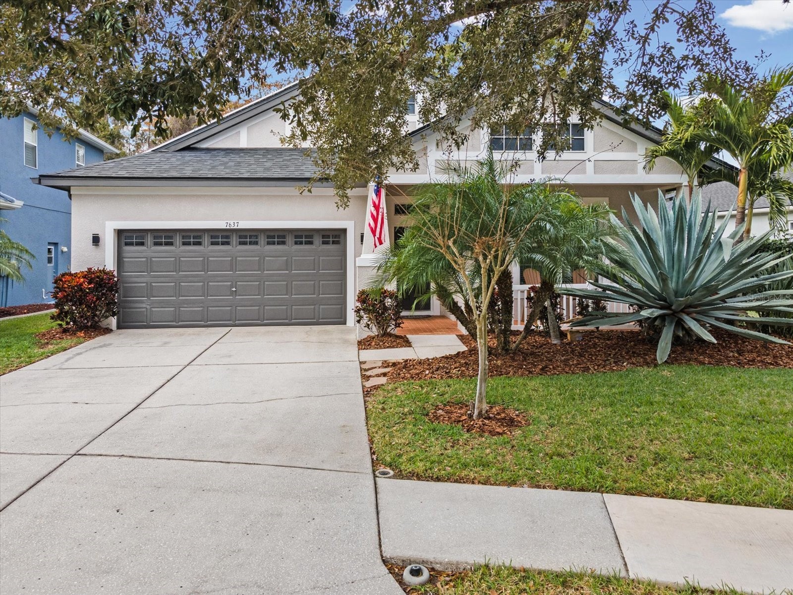 7637 Grasmere Drive Land O Lakes FL 34637 TB8460099 image1