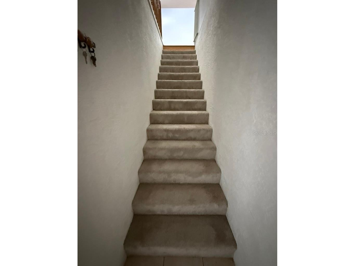 7637 Hatteras Drive Hudson FL 34667 O6413245 image24