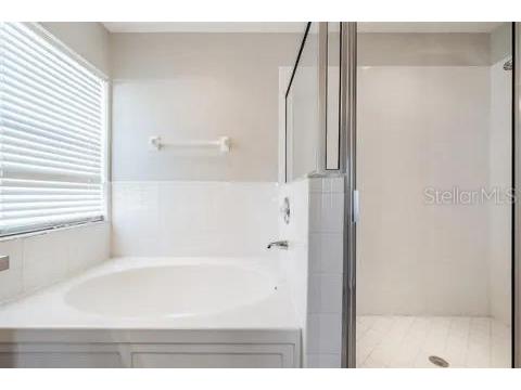 7637 Merchantville Circle Zephyrhills FL 33540 TB8506184 image28