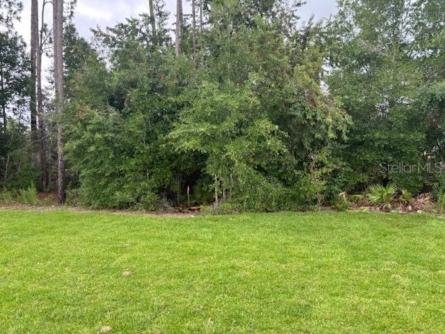 7637 SW 180th Circle Dunnellon FL 34432 OM702744 image15