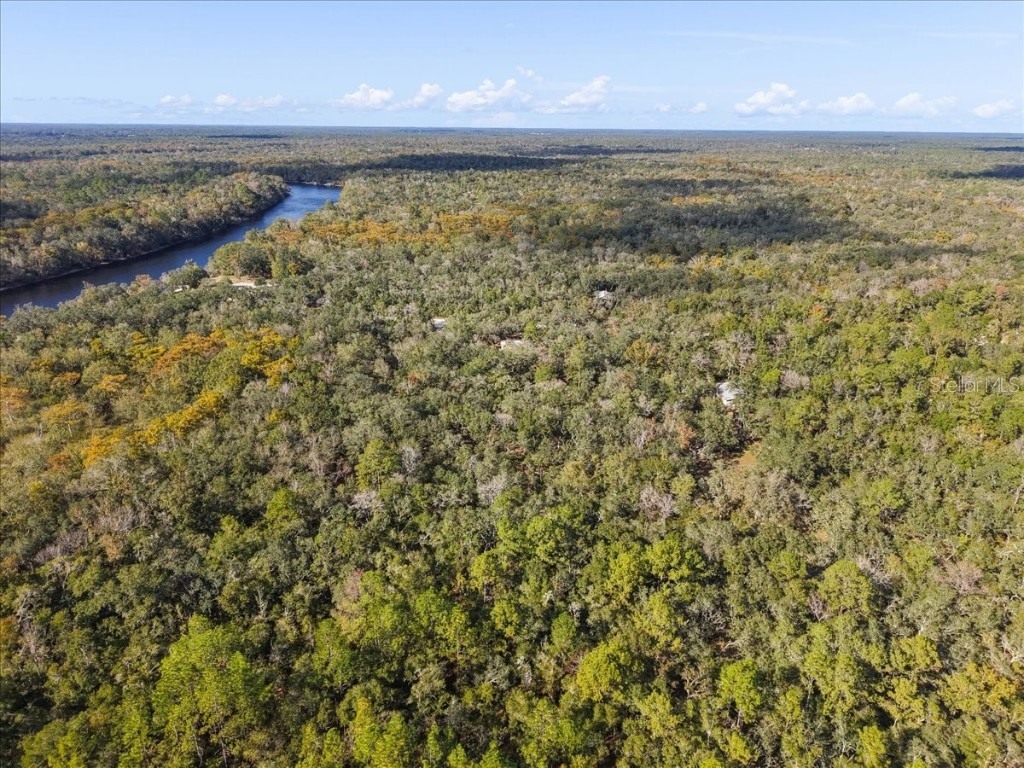 7639 NW 6th Street Bell FL 32619 GC534982 image32