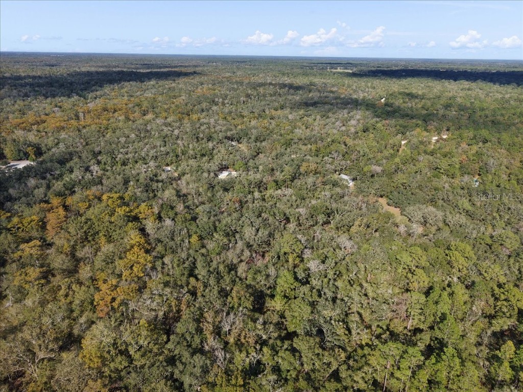 7639 NW 6th Street Bell FL 32619 GC534982 image34