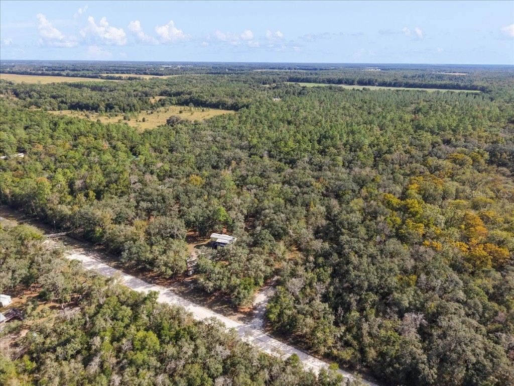 7639 NW 6th Street Bell FL 32619 GC534982 image37