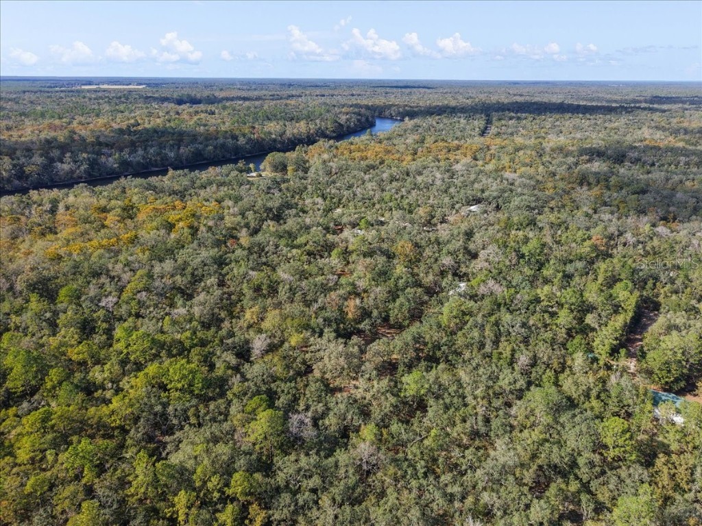 7639 NW 6th Street Bell FL 32619 GC534982 image38