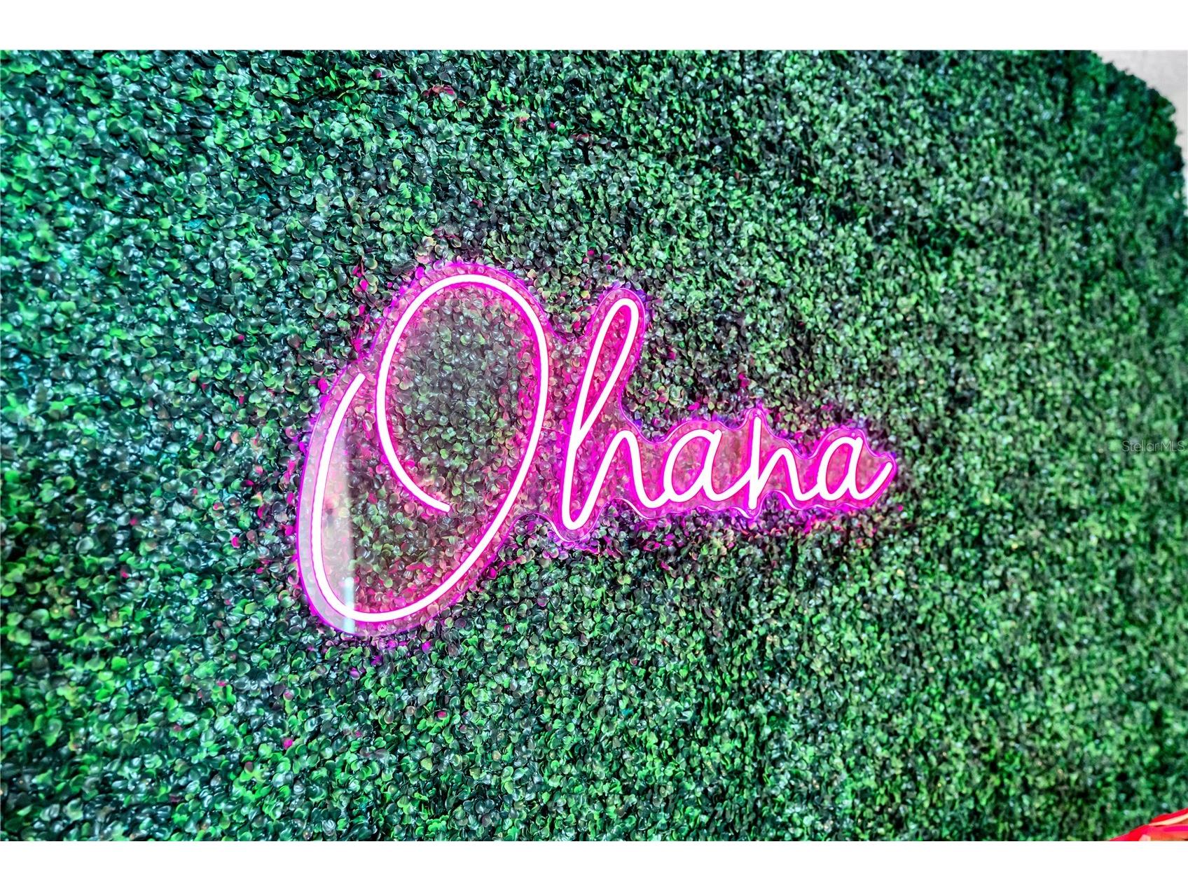 7639 Wilmington Loop Kissimmee FL 34747 O6366508 image32