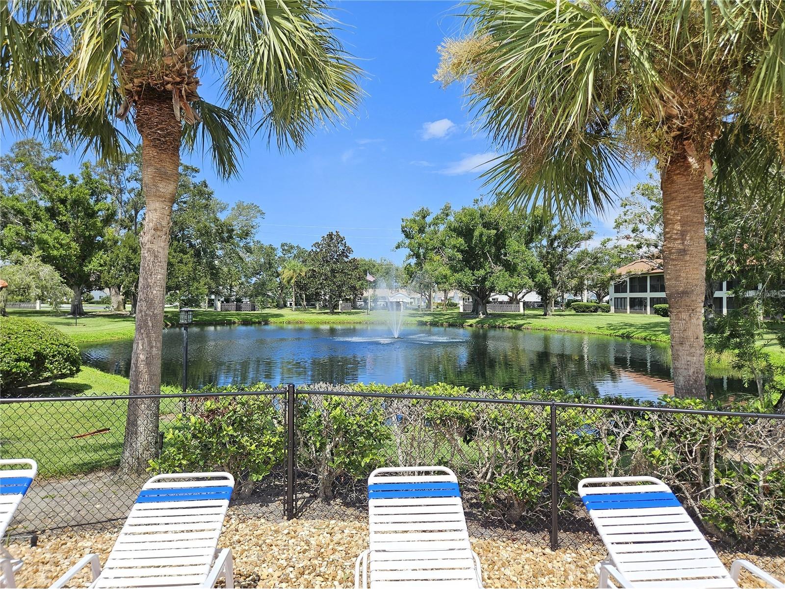 764 Avenida Estancia #206 Venice FL 34292 N6143437 image3