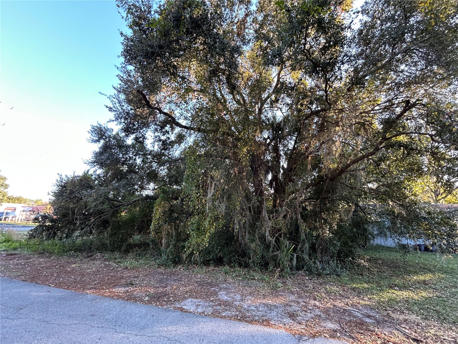 764 NE 12th Street Crystal River FL 34428 W7884005 image2