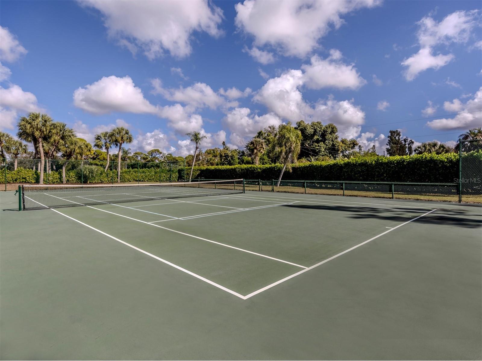 764 Sarabay Road #8 Osprey FL 34229 - LITTLE SARASOTA BAY A4683747 image49