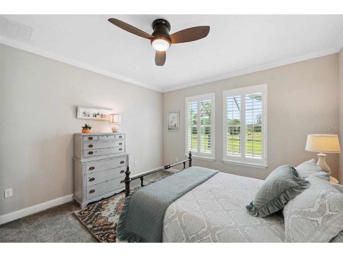 764 W Bayshore Dr Tarpon Springs FL 34689 TB8386824 image23