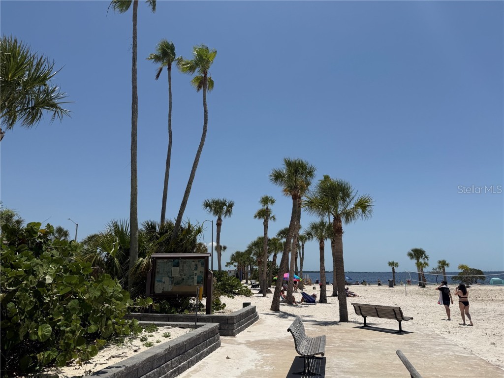 764 W Bayshore Dr Tarpon Springs FL 34689 TB8386824 image46