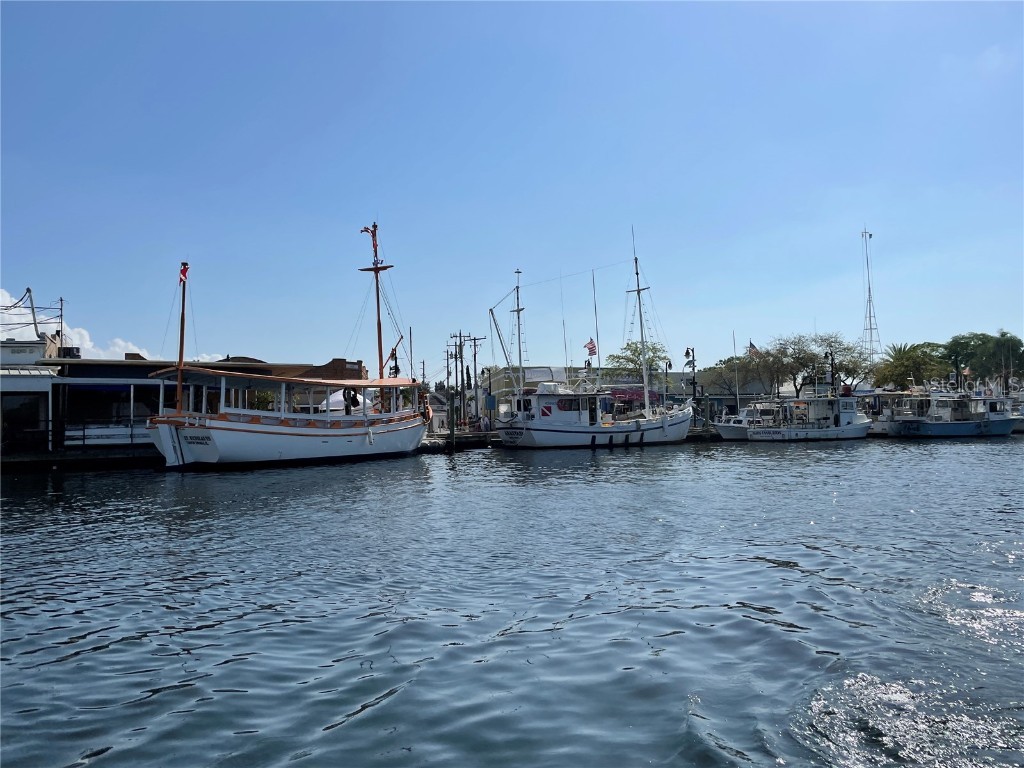 764 W Bayshore Dr Tarpon Springs FL 34689 TB8386824 image51