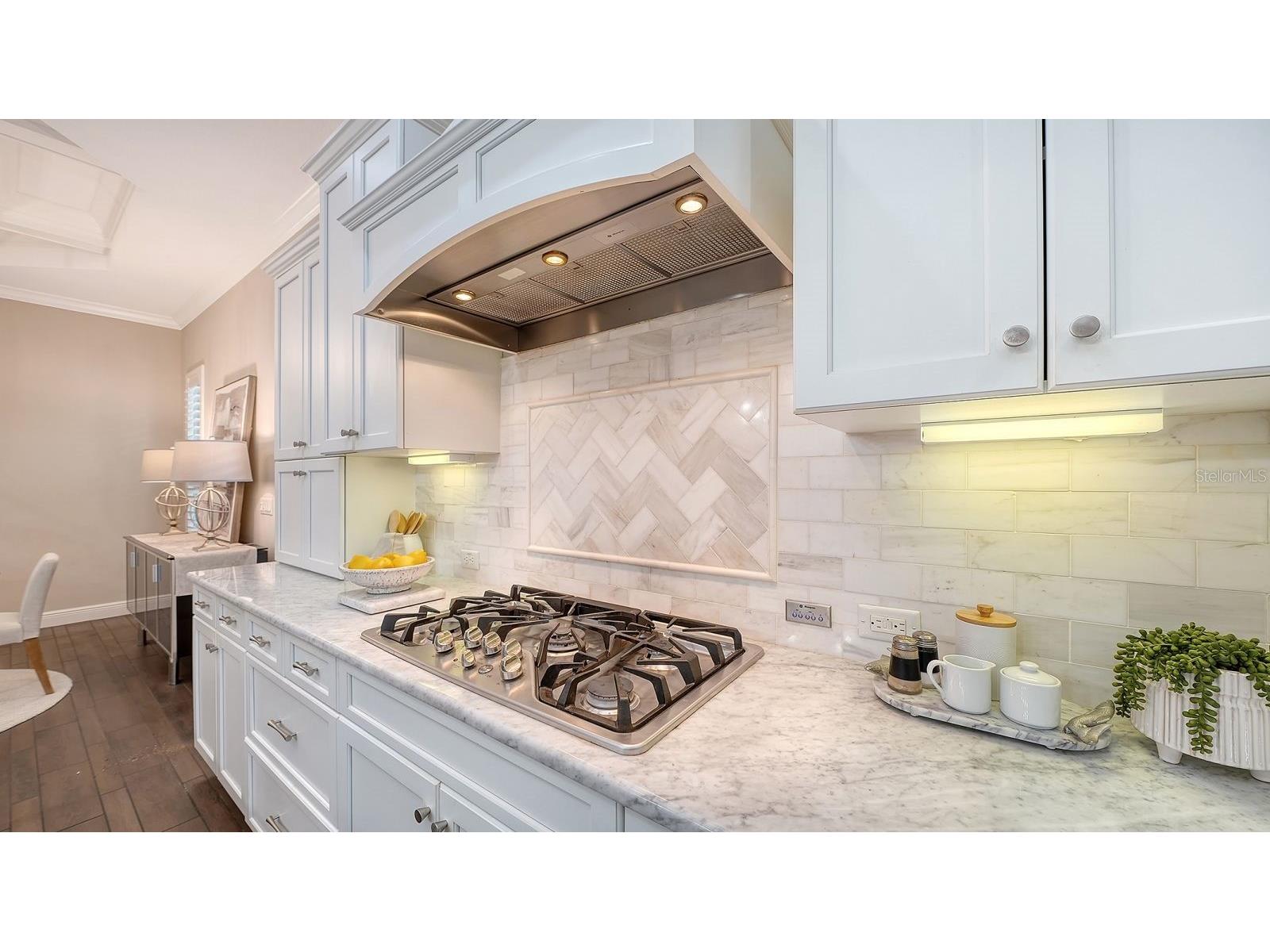 7640 Haddington Cove Lakewood Ranch FL 34202 A4698439 image16