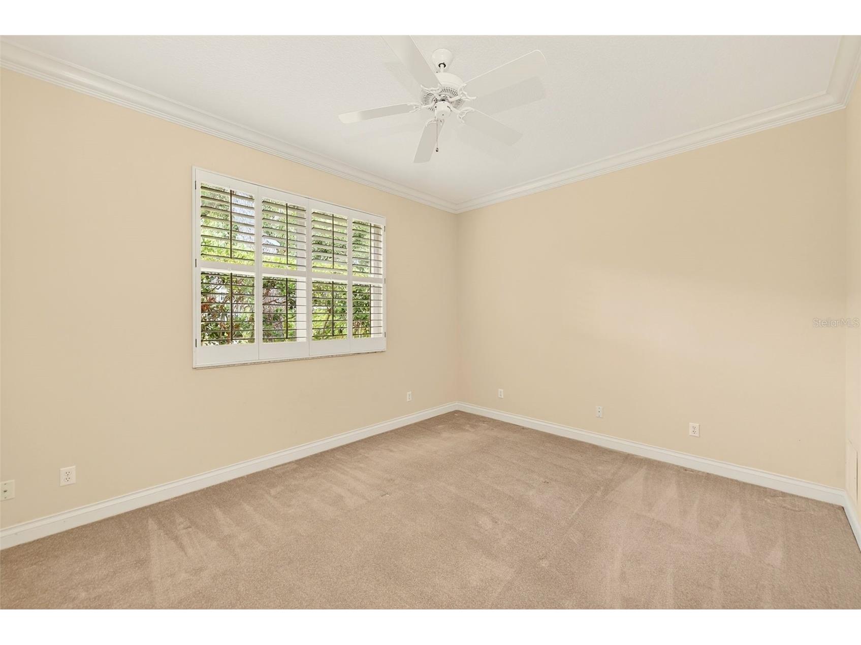 7640 Hunter Lane N Pinellas Park FL 33782 TB8493872 image39