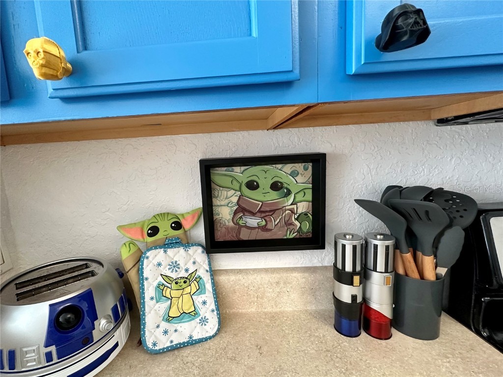 7640 Sir Kaufmann Court Kissimmee FL 34747 O6313095 image8