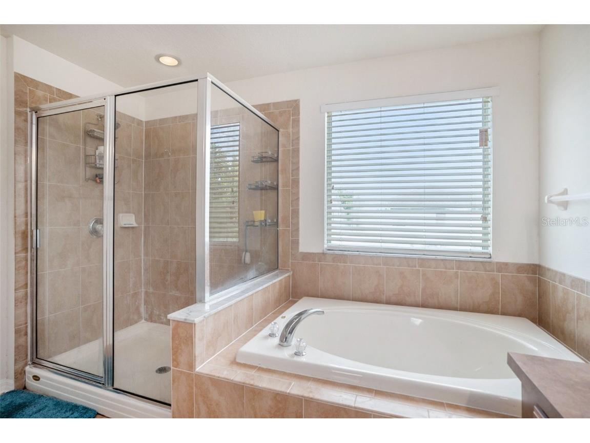 7641 Armonk Lane Wesley Chapel FL 33545 TB8395738 image26